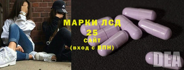 бошки Пересвет