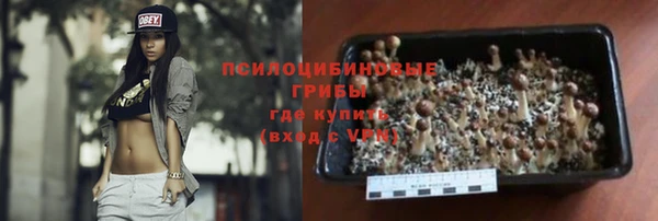 сатива Покачи