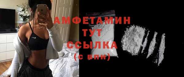 сатива Покачи
