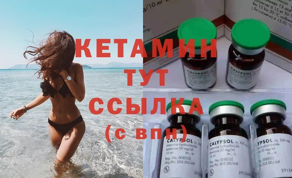 сатива Покачи