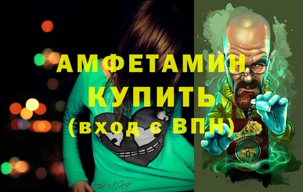 сатива Покачи