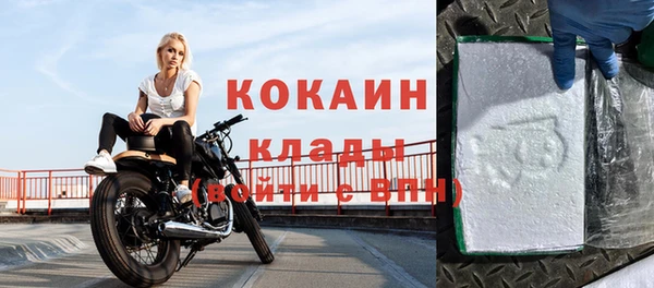 сатива Покачи
