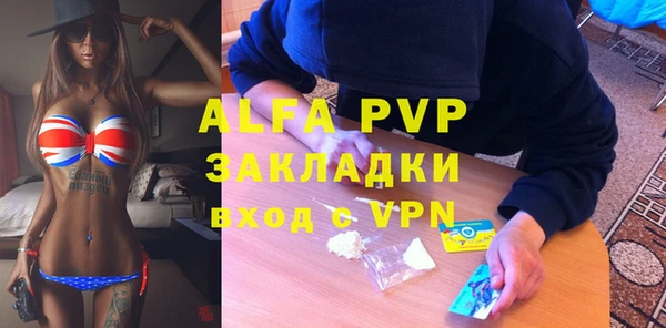 бошки Пересвет