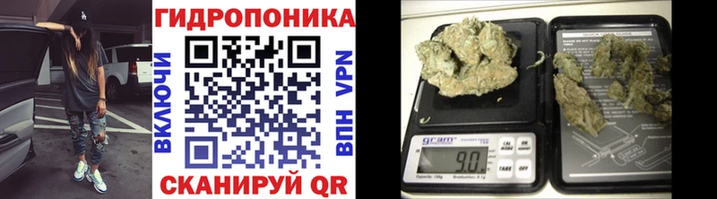 Шишки марихуана OG Kush  купить закладку  Абаза 